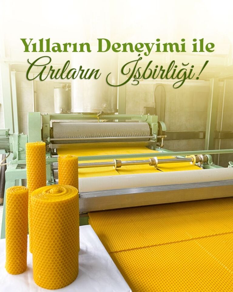 Arı Peteği 21x41